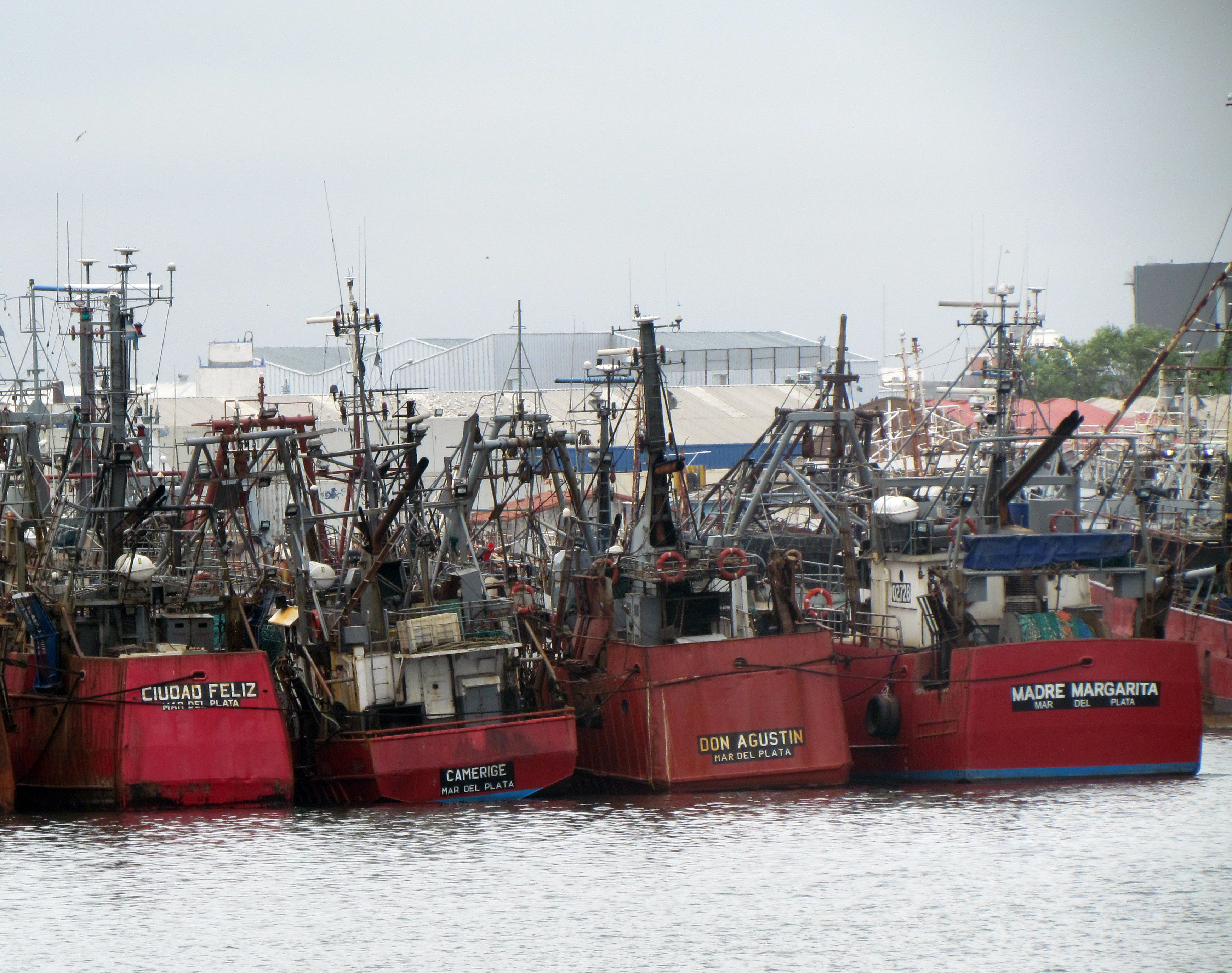 Puerto Mar del Plata: Alerta de los gremios por la falta de trabajo