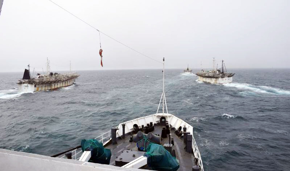 Numerosos pesqueros chinos llegan al Mar Argentino y amenazan los recursos naturales