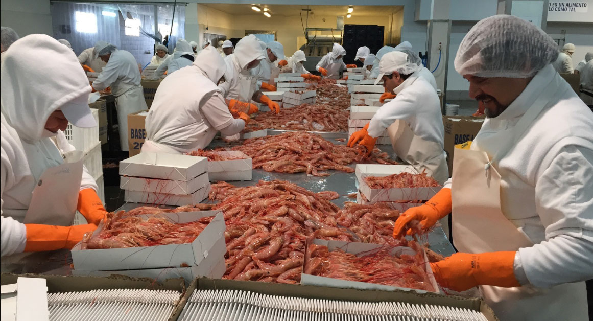 Resultado de imagen para China se reafirma como el principal destino de las exportaciones pesqueras argentinas