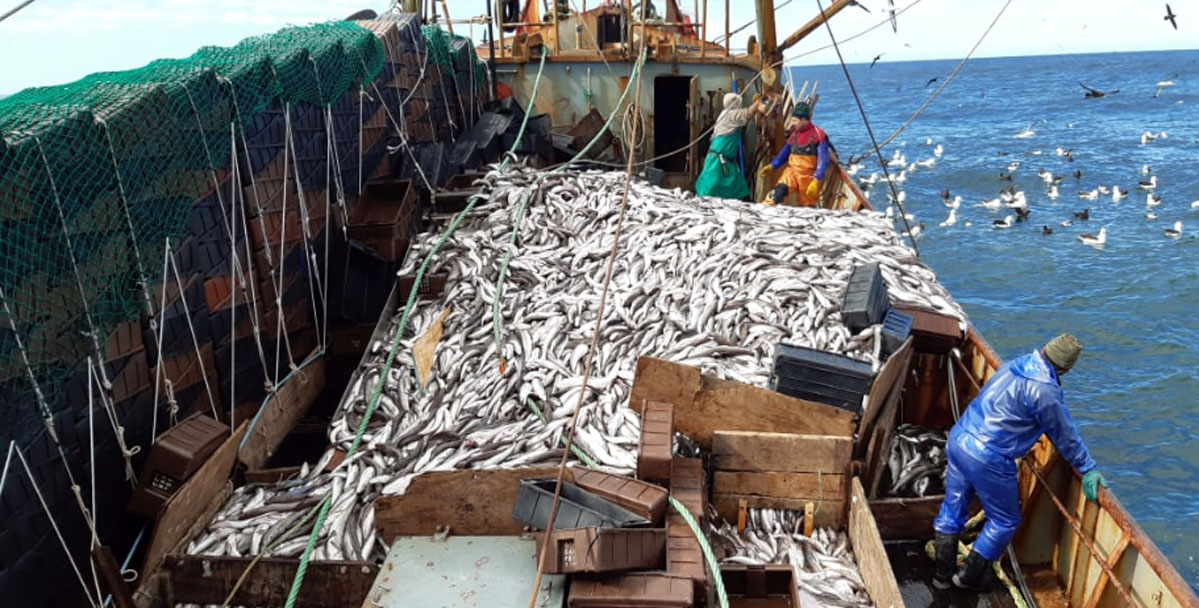 El Gobierno reforzará los controles sobre las capturas y exportaciones de pescados en el Mar Argentino
